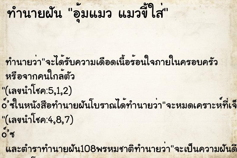 ทำนายฝัน อุ้มแมว แมวขี้ใส่ ทำนายฝัน อุ้มแมว แมวขี้ใส่